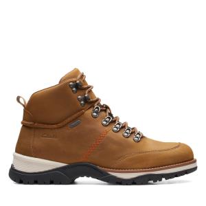 Men's Clarks ToptonPine GTX Originals Boots Brown | CLK815FGU