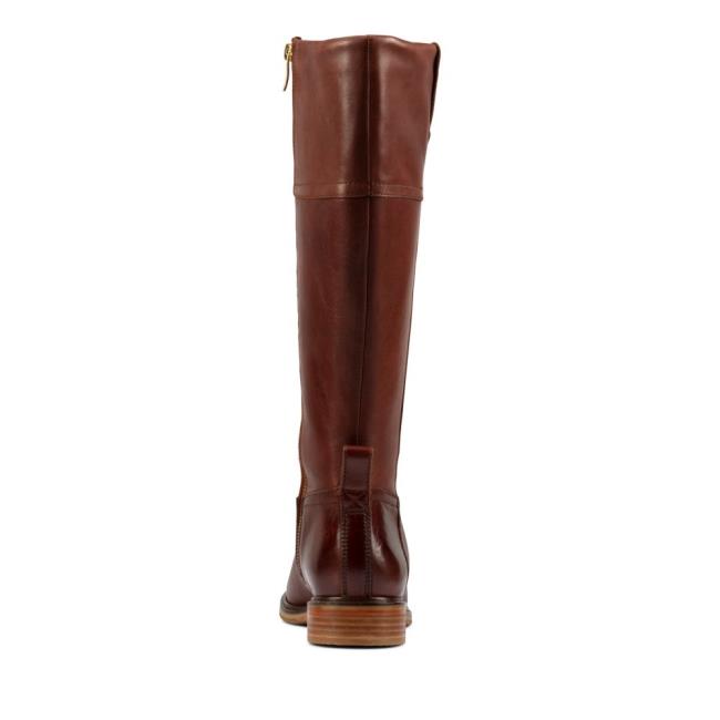 Women's Clarks Clarkdale Hi Knee-high Boots Dark Brown | CLK861LYM